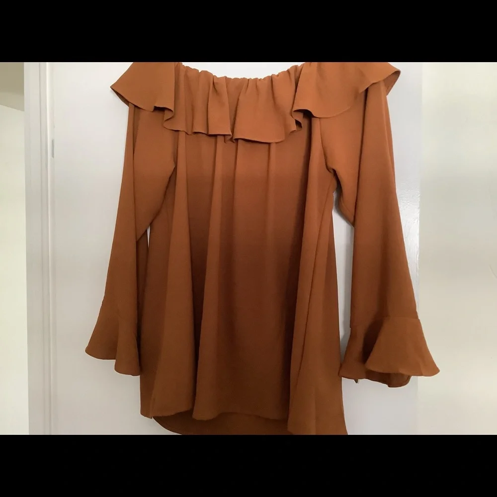 She & Sky rust colored blouse size L - Picture 4 of 10
